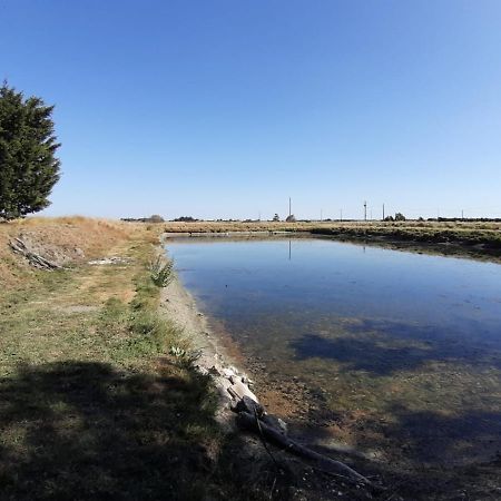 Bouin  Le Marais Chevalier 빌라 외부 사진