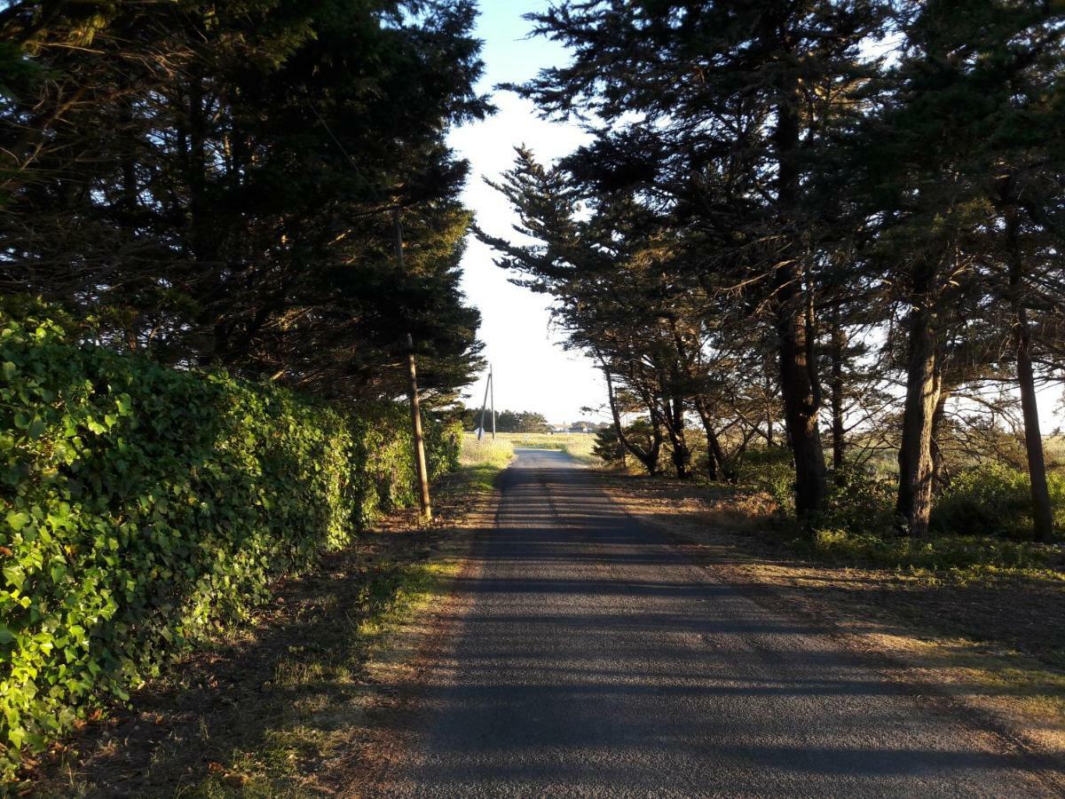 Bouin  Le Marais Chevalier 빌라 외부 사진